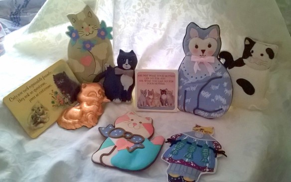 my mom's collection of cat magnets